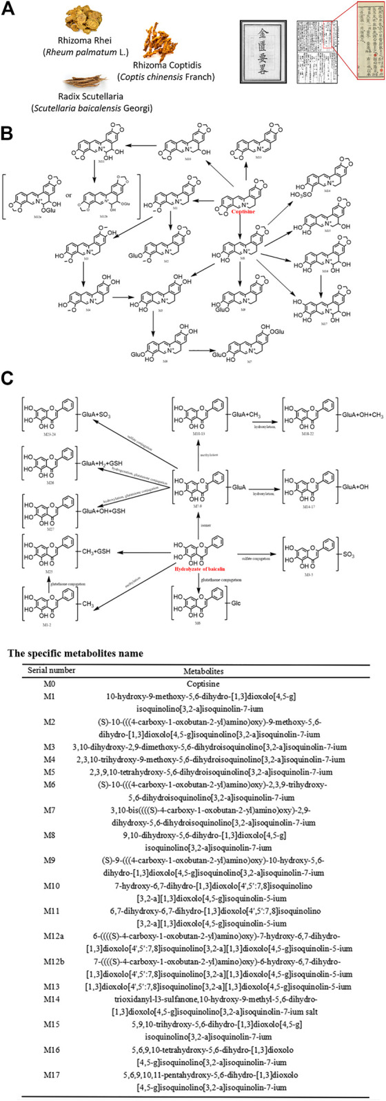 FIGURE 2