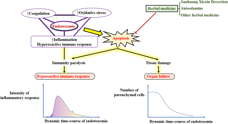 GRAPHICAL ABSTRACT