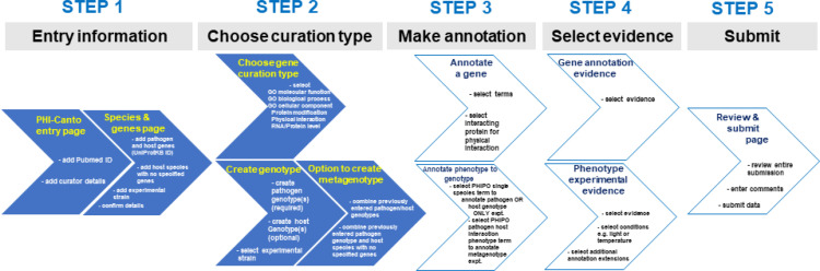 Figure 4—figure supplement 1.