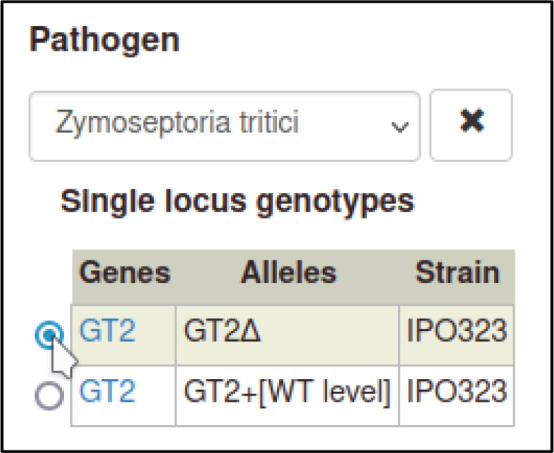 Appendix 2—figure 19.
