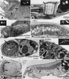 FIG. 2.