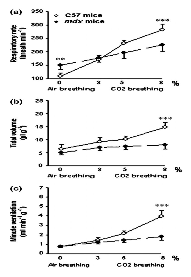 Fig 5