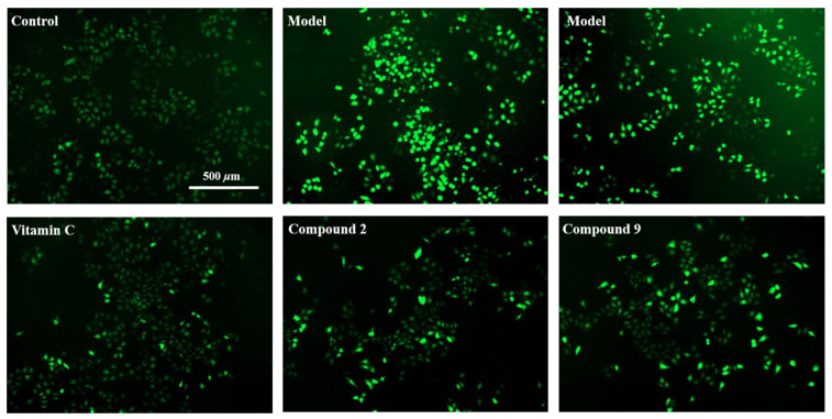 Figure 10