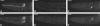 F<sc>igure</sc> 1.—