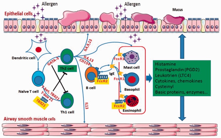 Figure 1.