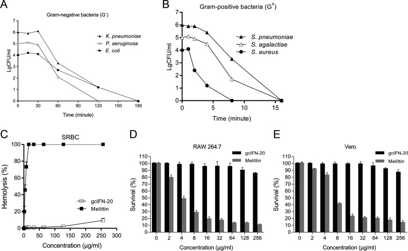 FIG 2