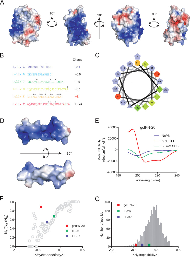 FIG 1