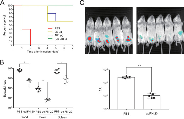 FIG 4