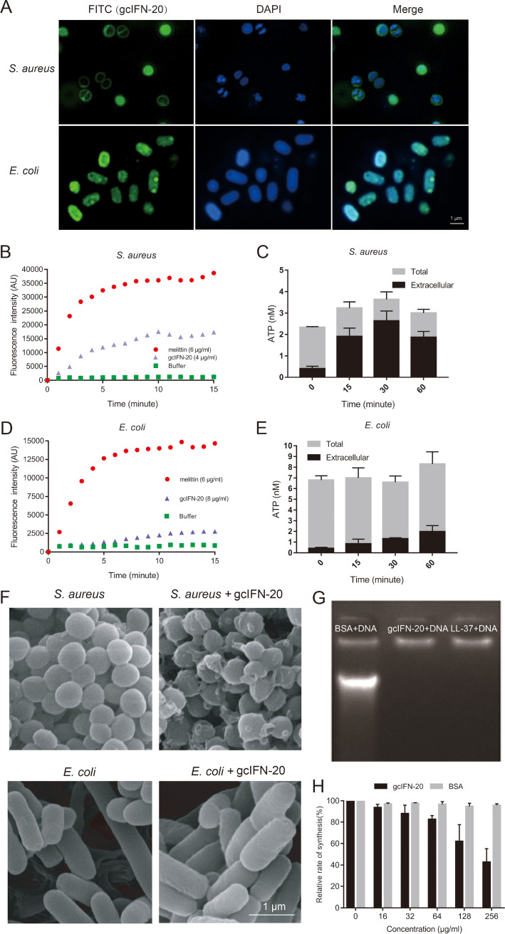 FIG 3