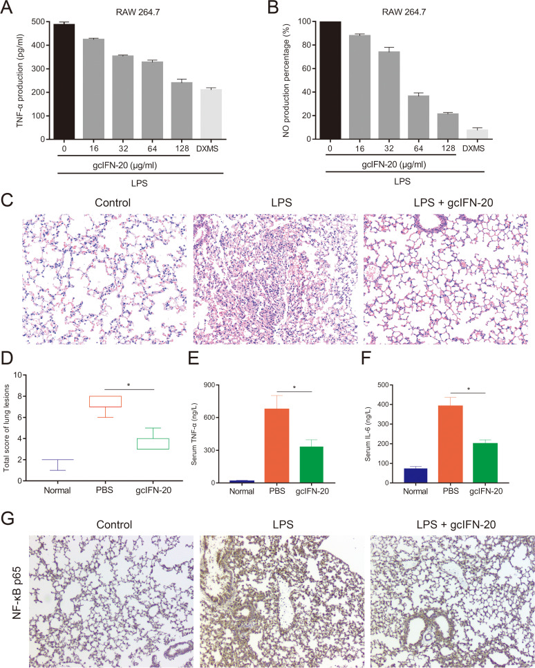 FIG 6