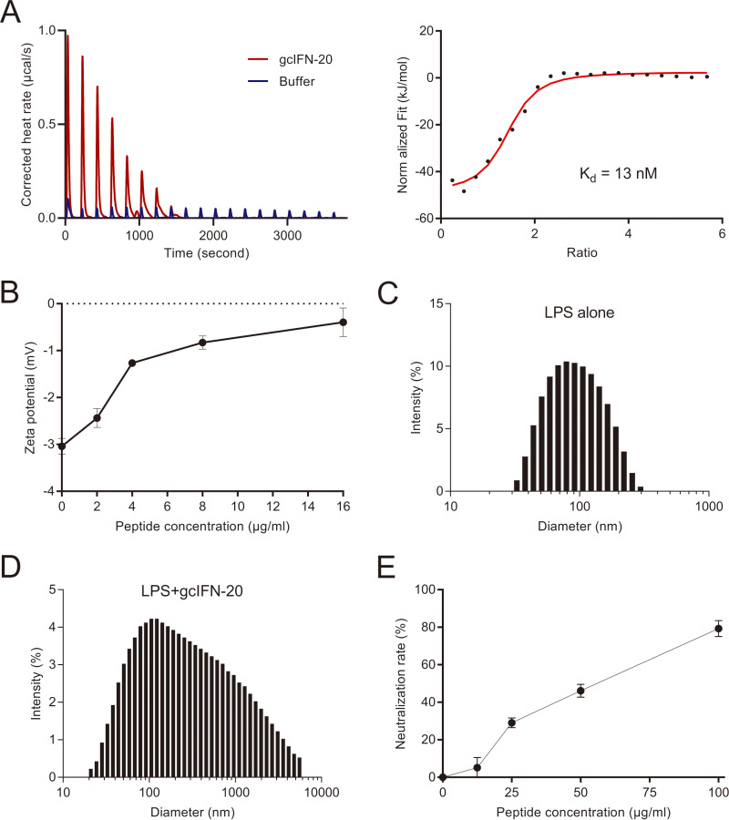 FIG 5