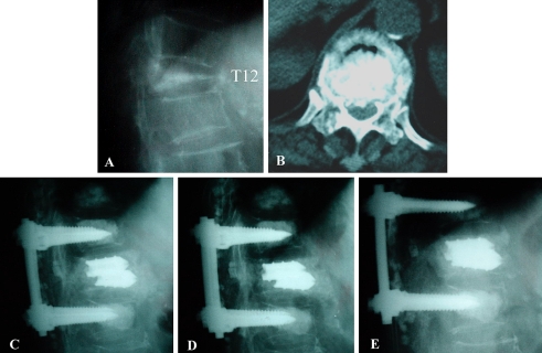 Fig. 5