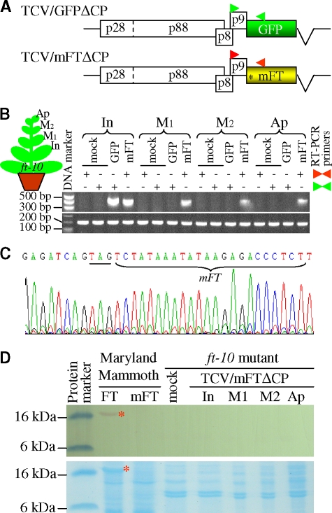 FIG. 4.