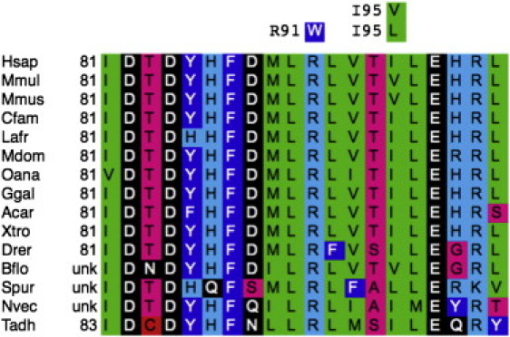 Figure 2