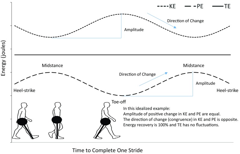 Fig. 1