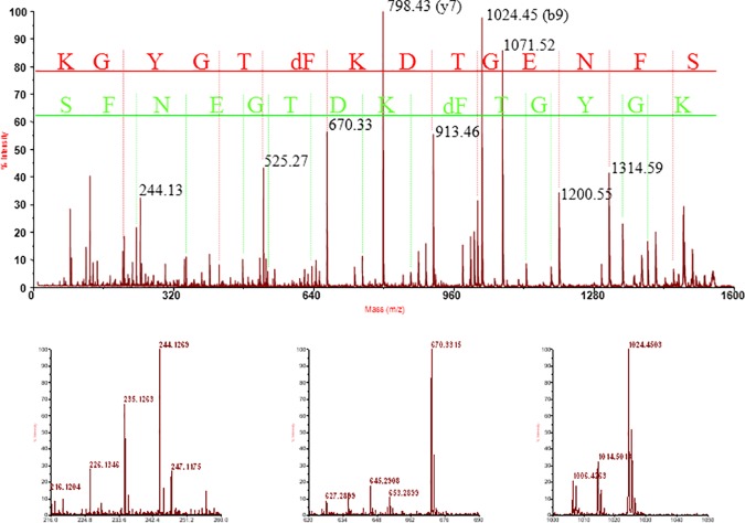 Fig 1