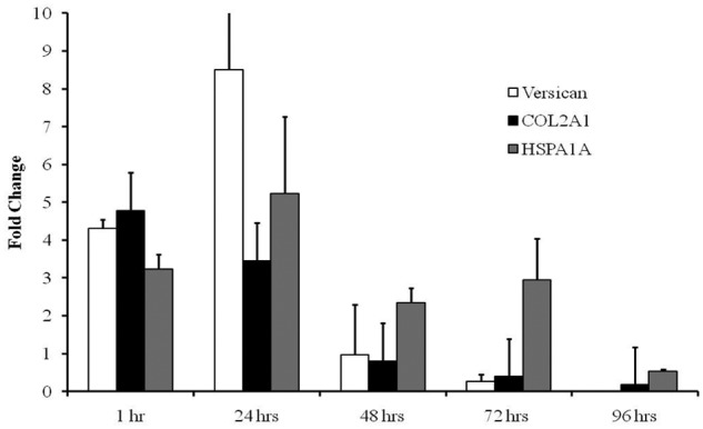 Figure 5.