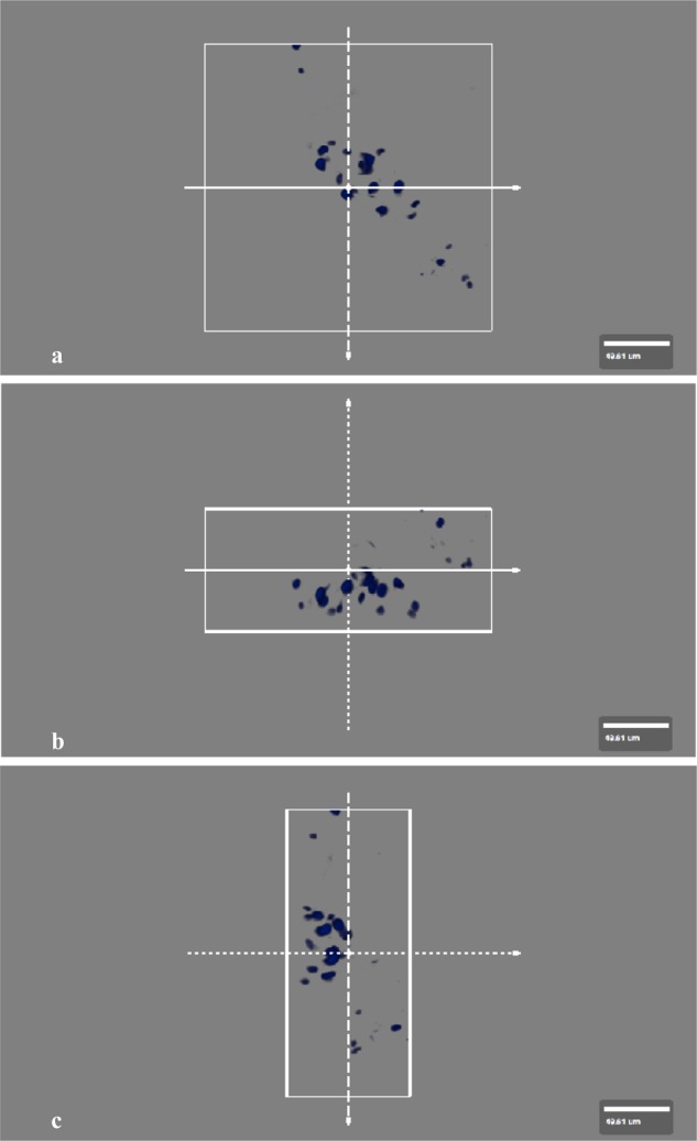 Figure 3.