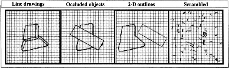 Fig. 2.