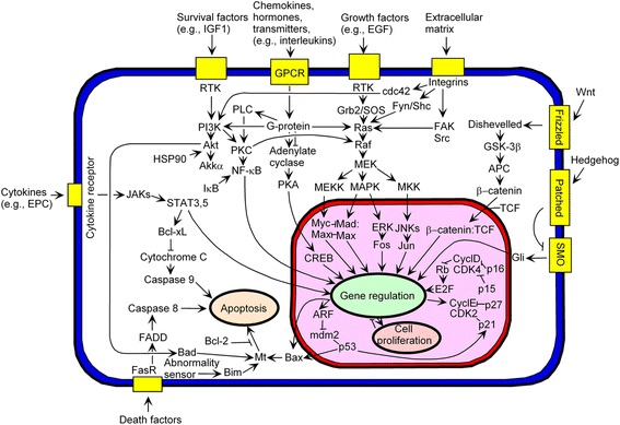 Fig. 3