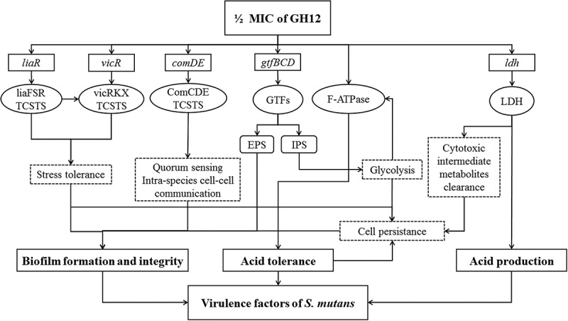 Figure 6.