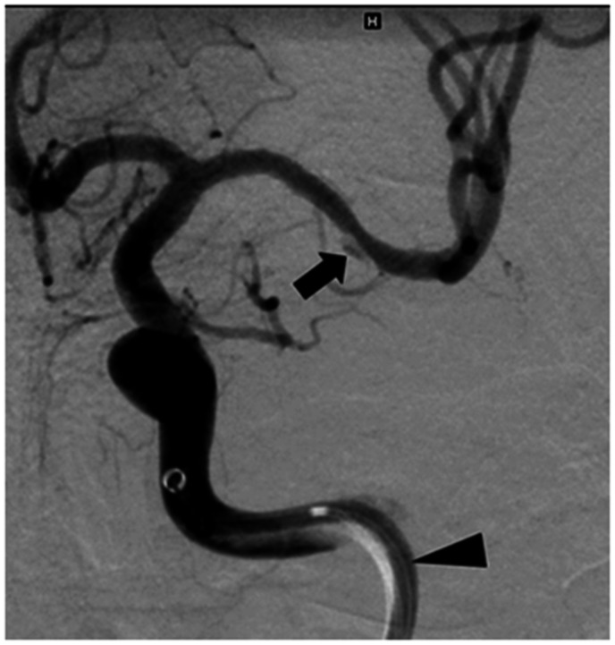 Figure 2.