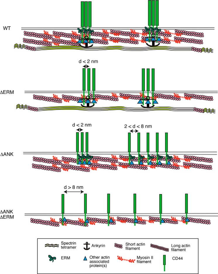 FIGURE 9.