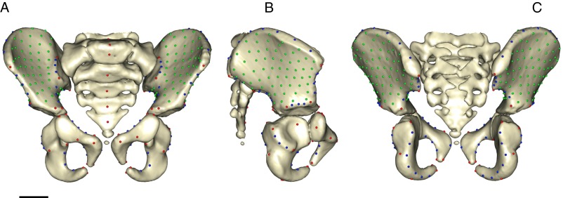 Fig. S2.