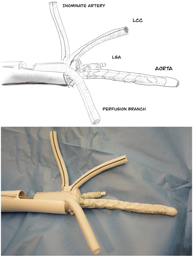 Figure 2: