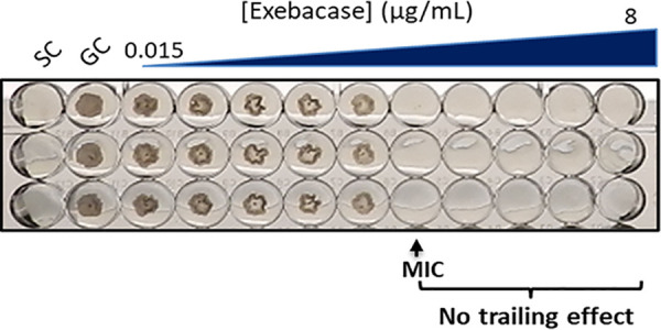 FIG 2