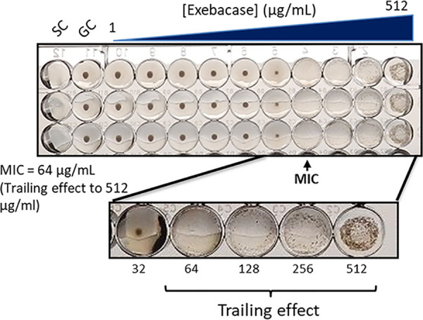 FIG 1