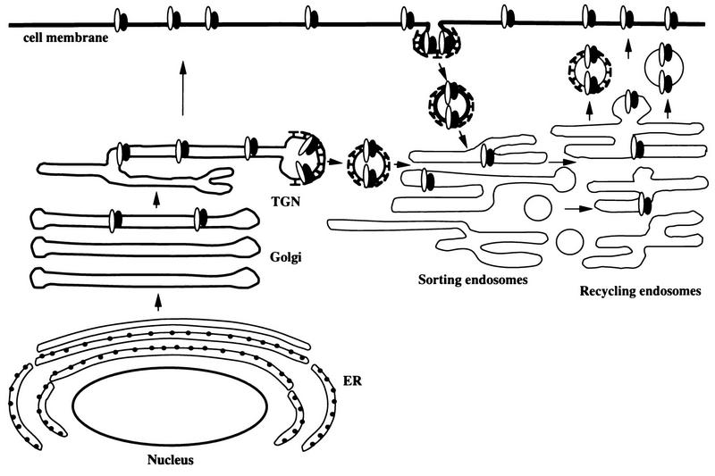 FIG. 9