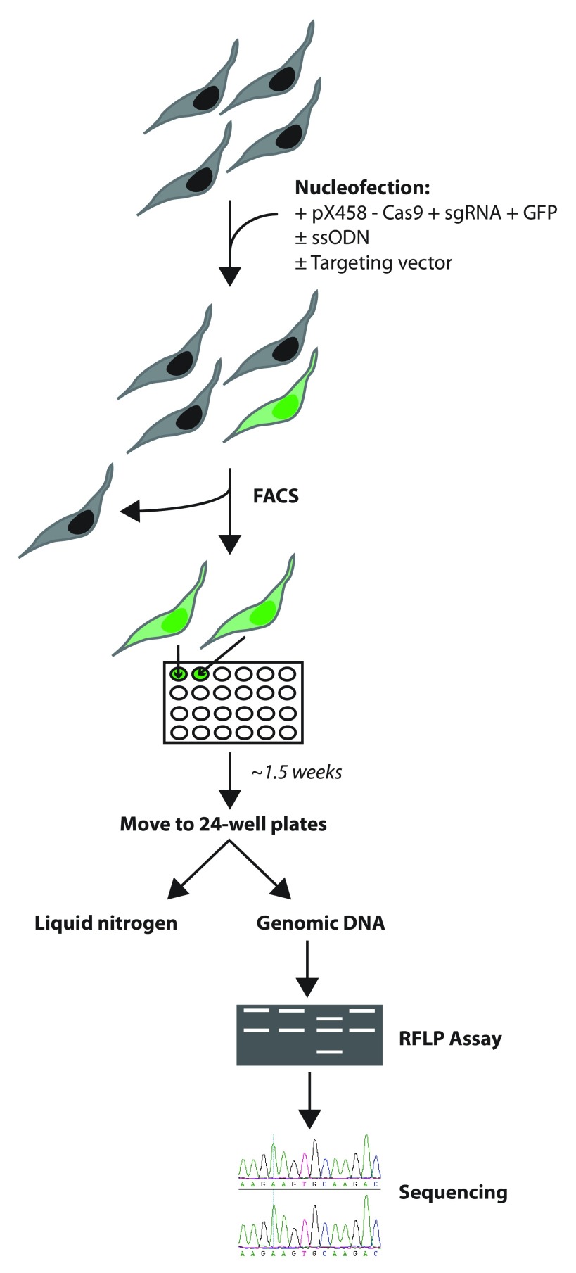 Figure 7. 