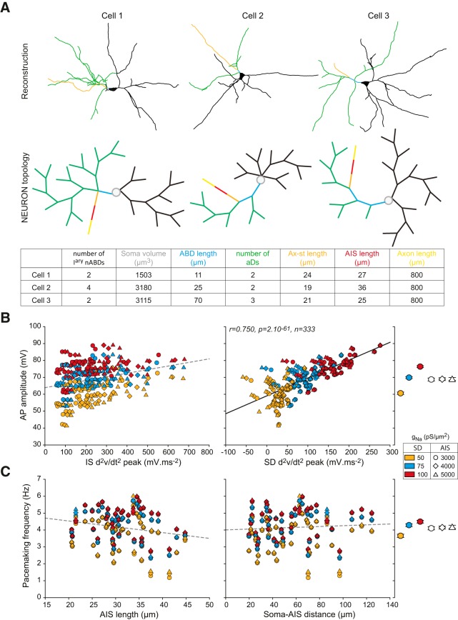 Figure 11.