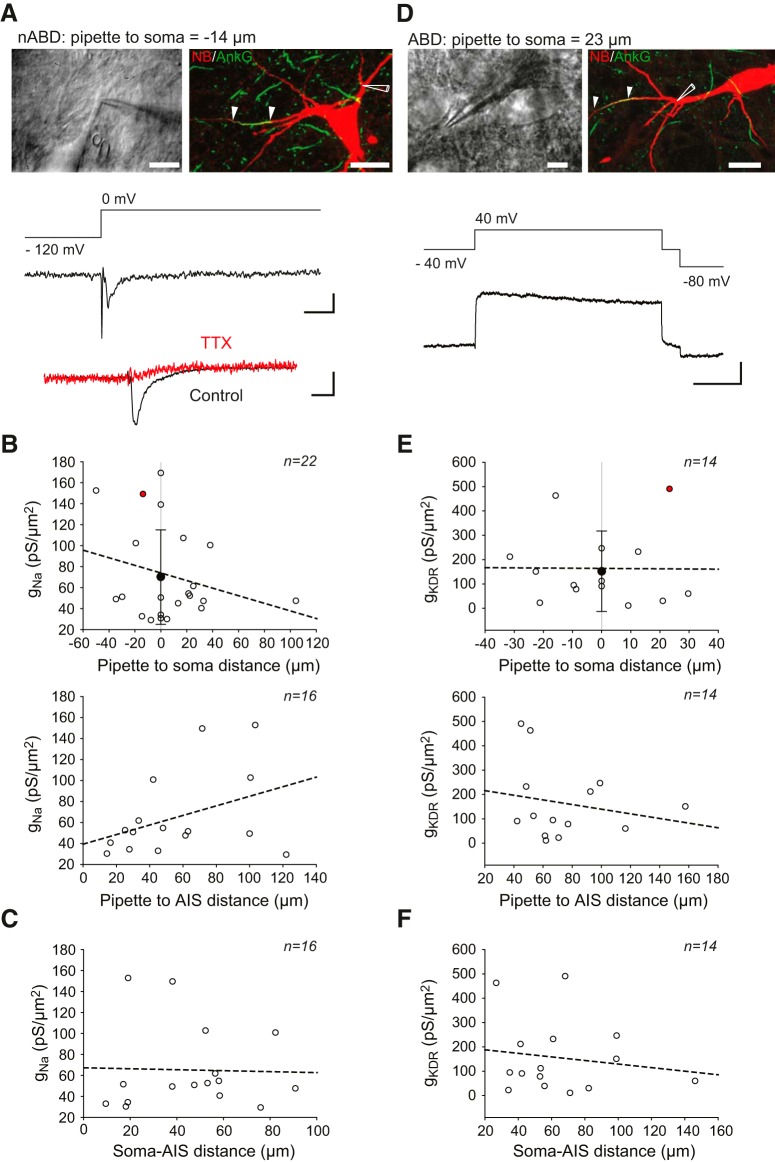 Figure 6.