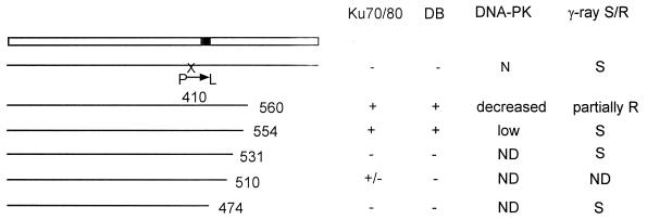 FIG. 6