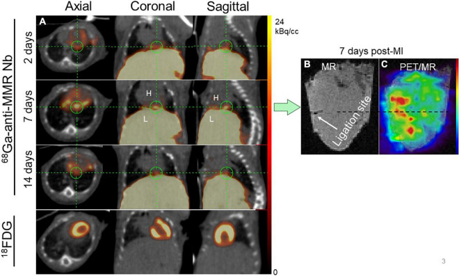 FIGURE 3