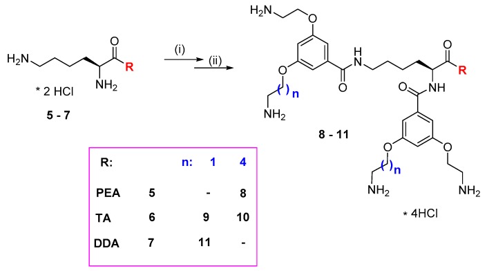 Scheme 2