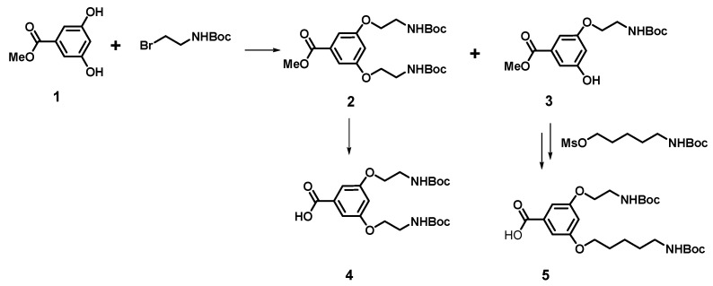 Scheme 1