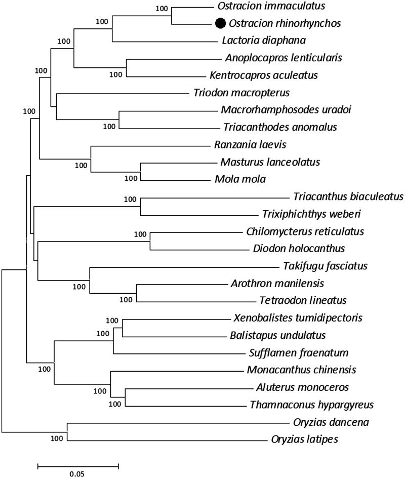 Figure 1.