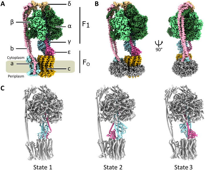 Fig. 1.