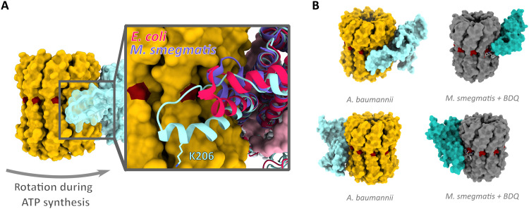 Fig. 4.