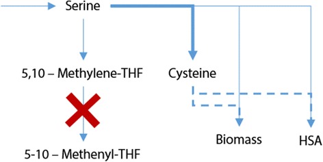 Fig. 10