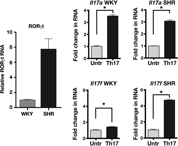 Fig. 22.