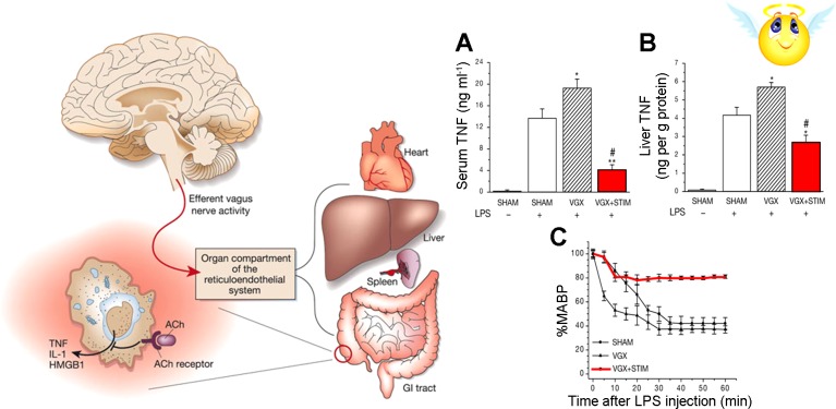 Fig. 11.