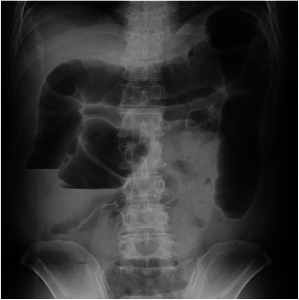 Fig. 5