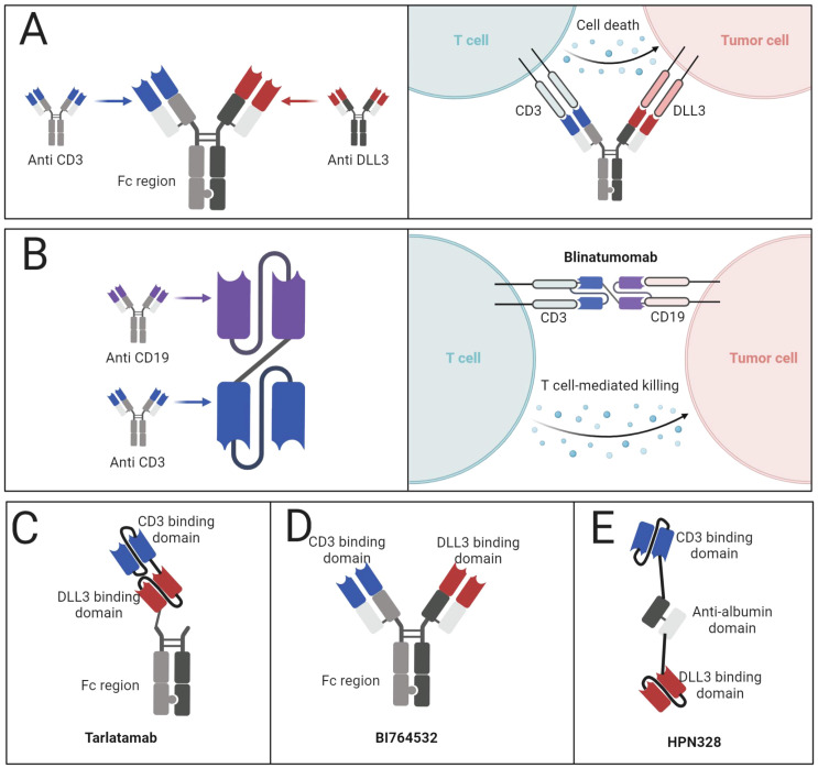 Figure 4