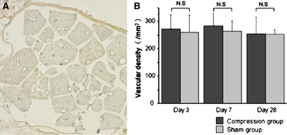 Fig. 5