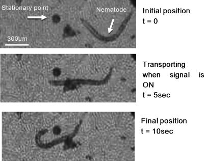 Figure 11