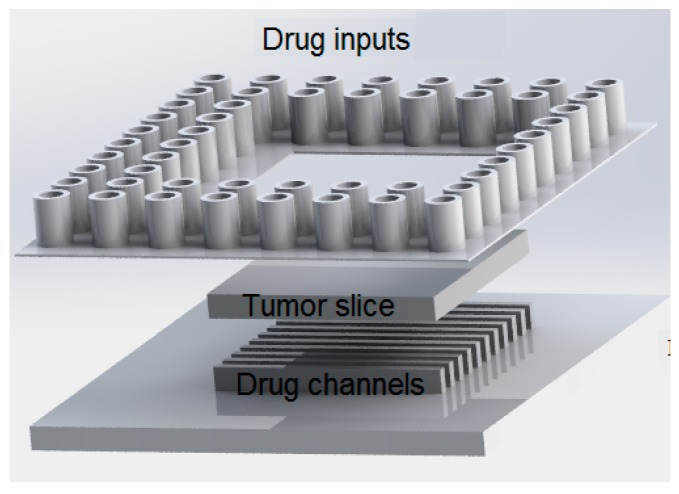 Figure 10